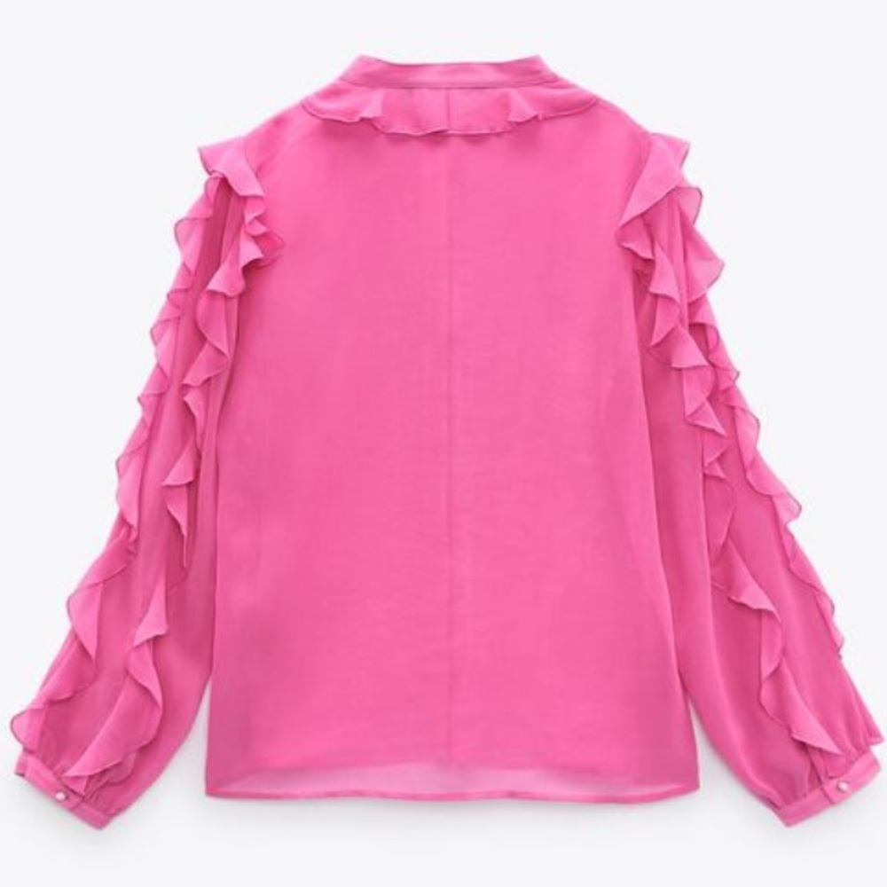 Zara Pink Sheer Ruffle Blouse - Picture 5 of 6